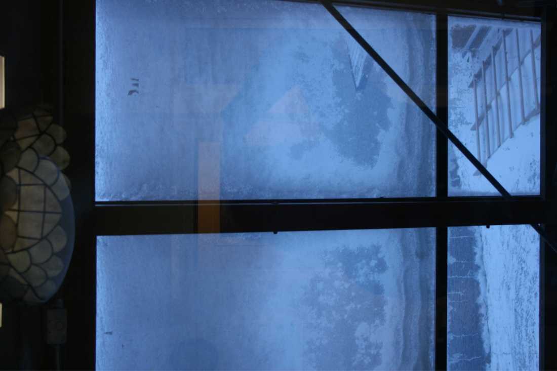 Trying to look out at our gorgeous view this morning.