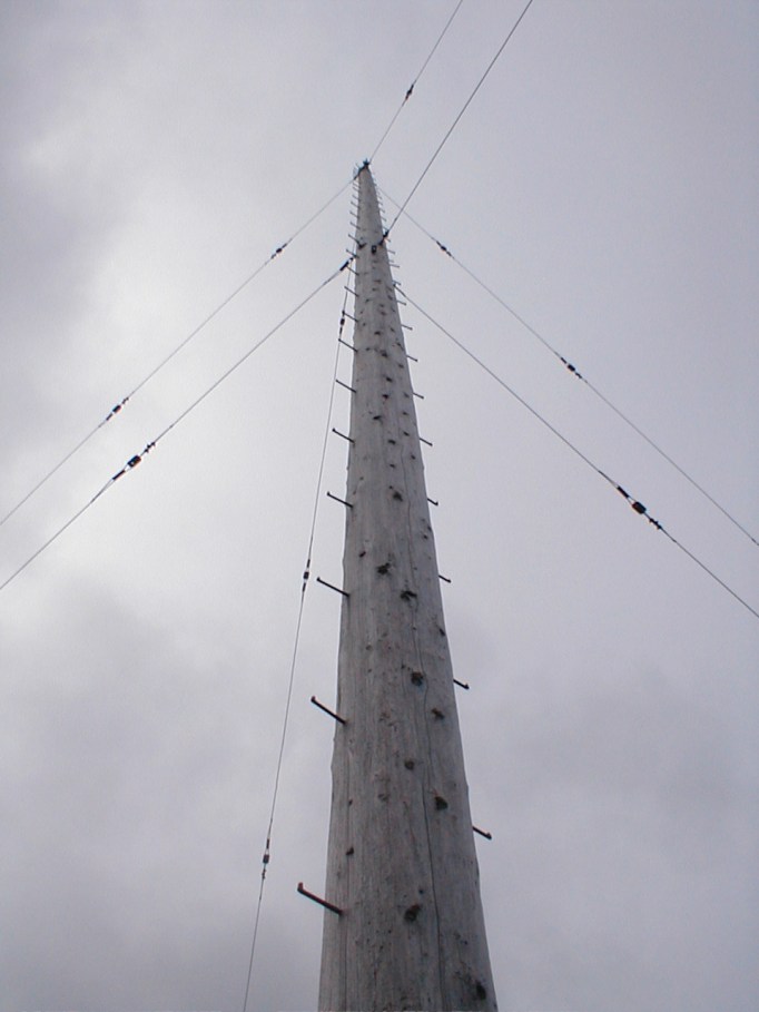 Thank goodness SP isn't tall enough to make the first step!