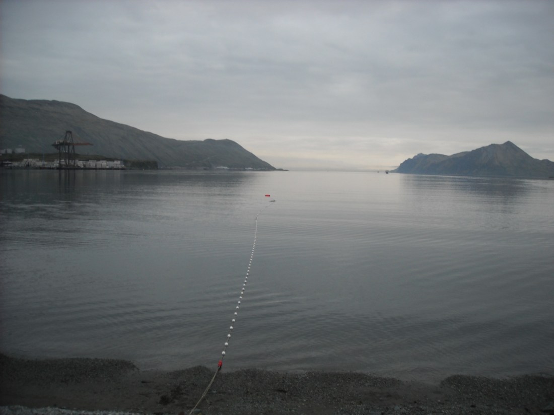 Our net set on the front beach.