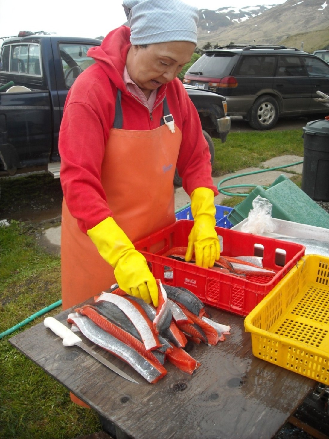 Mom stripping red salmon to hang them in the smoke house.