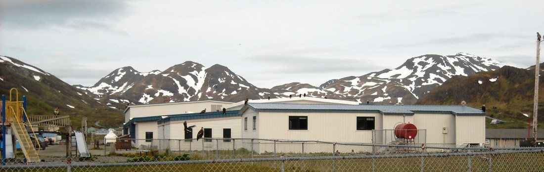 Look really close and try to count them all.  Hint:  there are some on the ground.