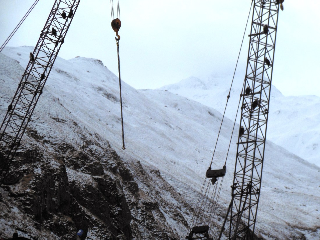 Don't leave your equipment idle for too long.  Someone might build a nest.