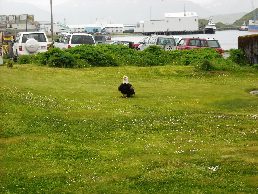 fishing in june 003a