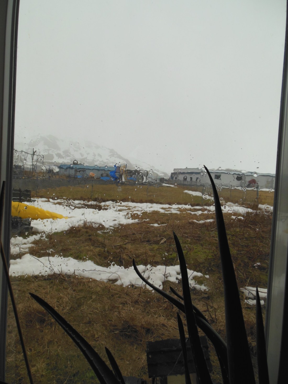 Drenching rain, trying to come down as snow.